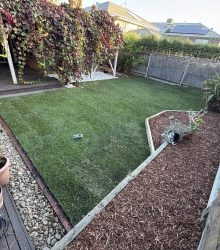 494589579_998394789099702_8371162287376078410_n